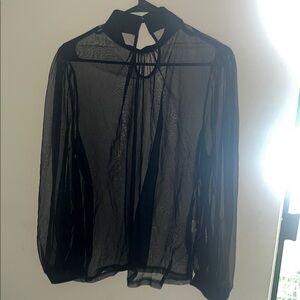 SHEIN Black Sheer Long Sleeve Blouse